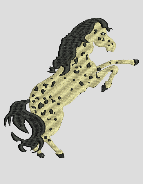 Cheval Appaloosa