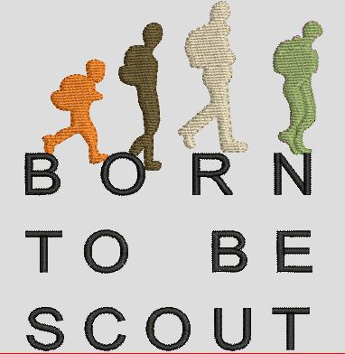 Born to be scout
