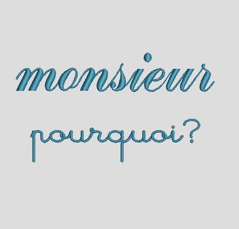 Monsieur pourquoi